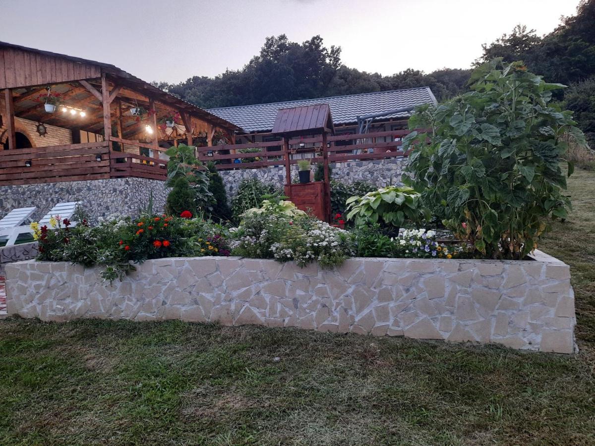 Villa Casa Claudiu Ieşelniţa Esterno foto
