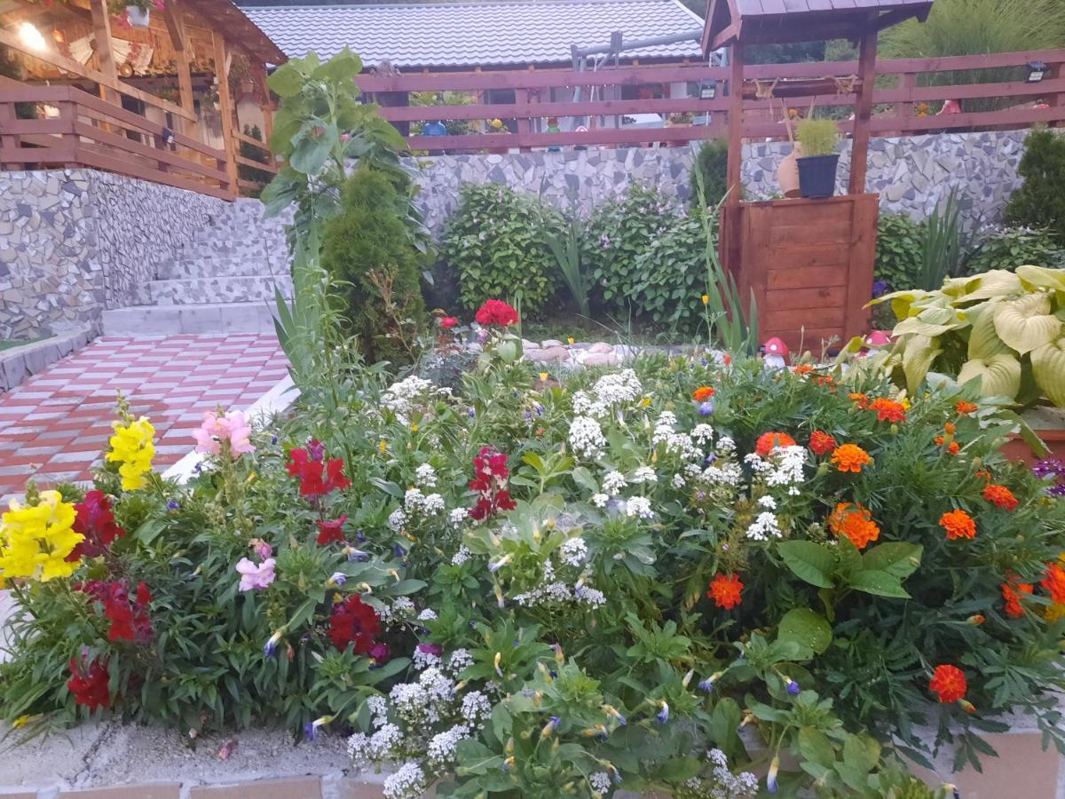 Villa Casa Claudiu Ieşelniţa Esterno foto